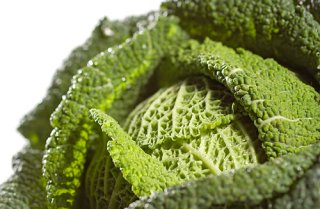 Fruchtig roter Tomaten-Wirsingeintopf mit Bohnenmi