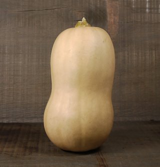Gefüllter Butternusskürbis