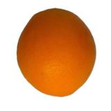 Orangen