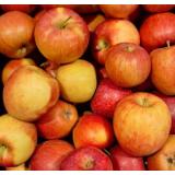 Apfel Braeburn
