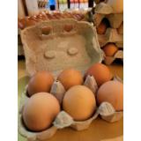 Bio-Eier Gr. M