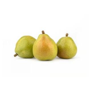 Birne Anjou