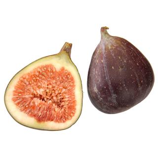 Feigen frisch