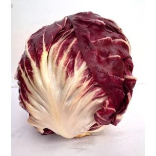 Radicchio