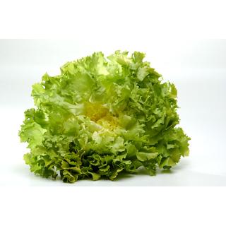 Endivien