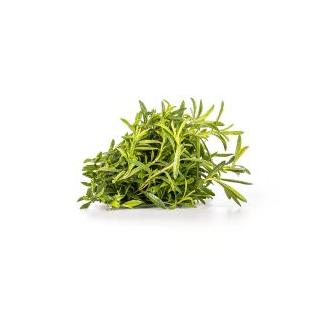 Bohnenkraut