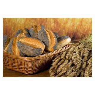 BioMohn Brötchen