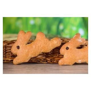 Oh, du süße Osterhasi