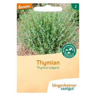 Thymian