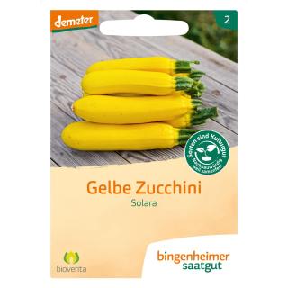 Gelbe Zucchini Solara