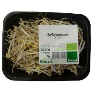 Mungbohnensprossen (Sojaspro.)