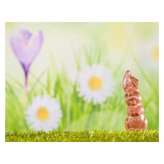 Vollmilch-Schokoladenhase, 12 cm