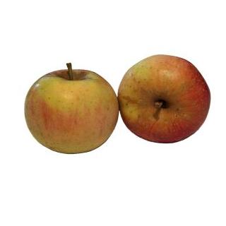 Apfel Renette