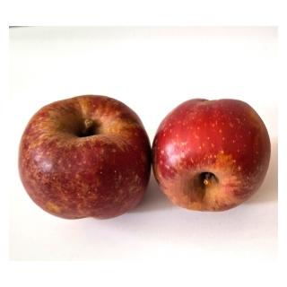 Apfel Boskoop