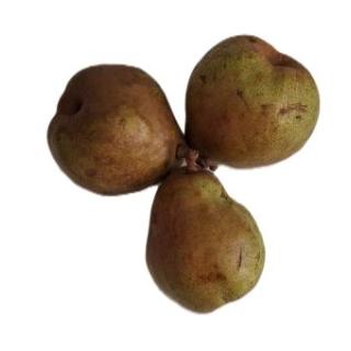 Birne Vereinsdechant