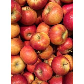 Apfel Ladina