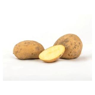 Frühkartoffel Avanti fk Tüte