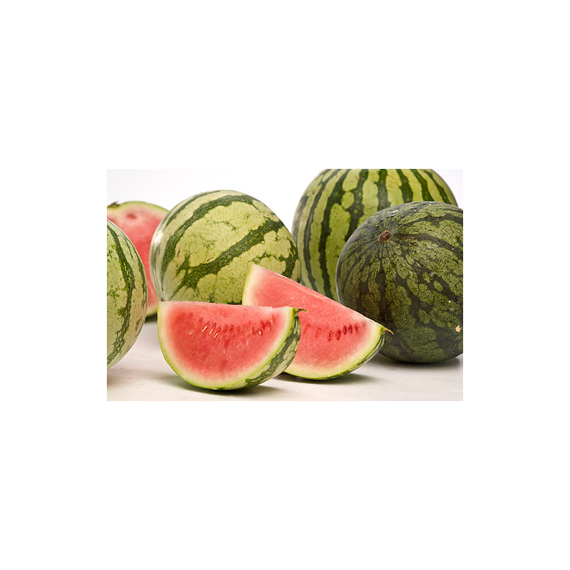 platzhalter