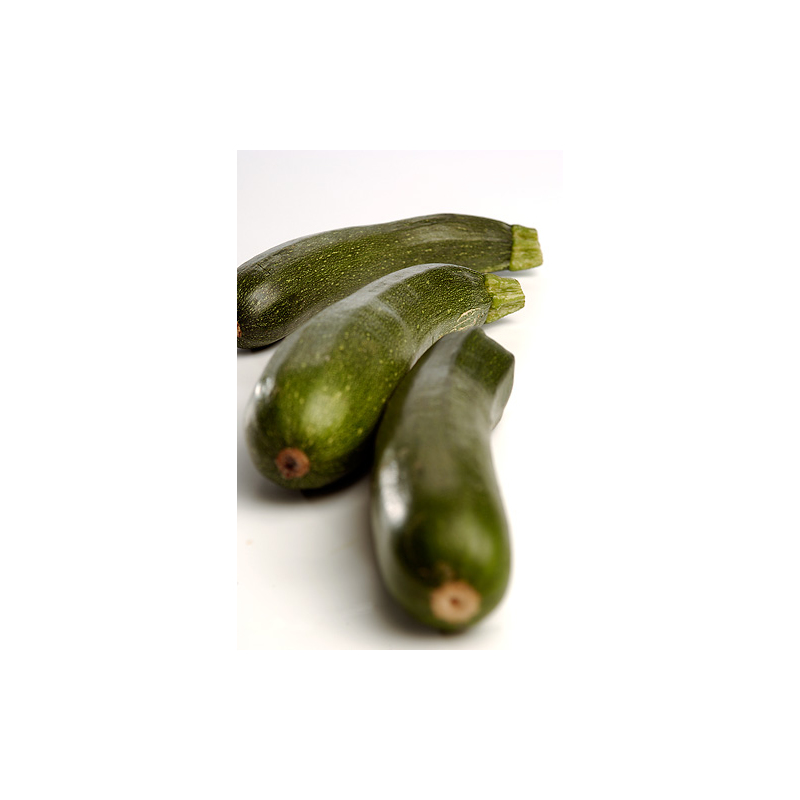 platzhalter