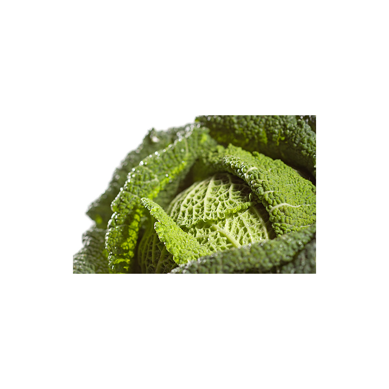 Fruchtig roter Tomaten-Wirsingeintopf mit Bohnenmi