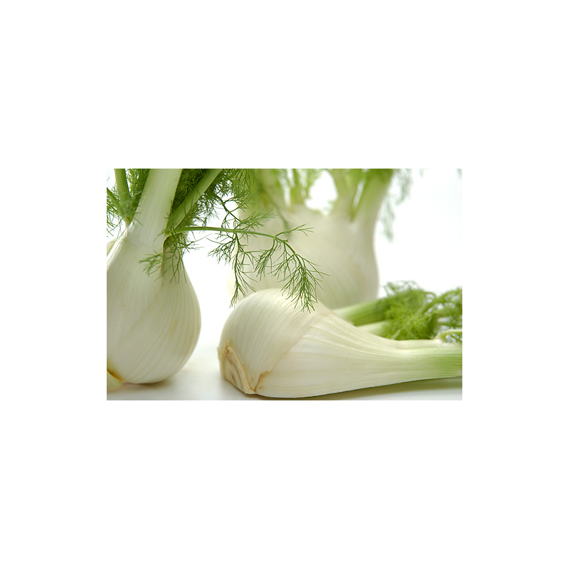 Fenchel-Orangen-Salat mit geröstetem Kernemix