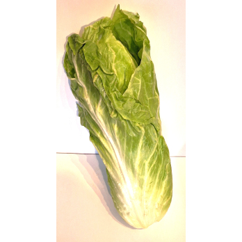 Zuckerhutsalat