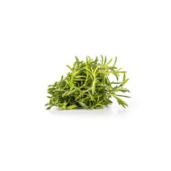 Bohnenkraut