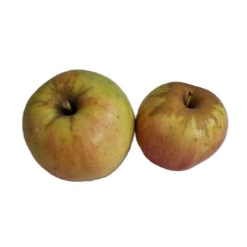 Apfel Opal