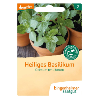 Heiliges Basilikum
