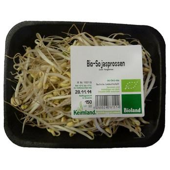 Mungbohnensprossen (Sojaspro.)