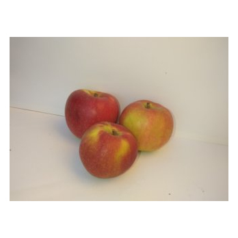 Apfel Freya