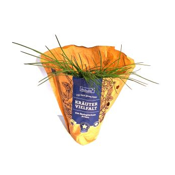 Kräuter Topf
