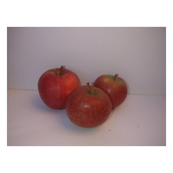 Apfel Natyra