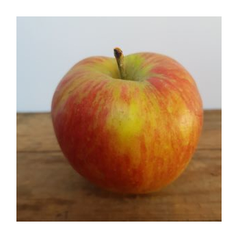 Apfel Deljonka