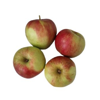 Apfel Sansa