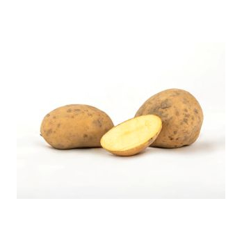 Frühkartoffel Avanti fk Tüte
