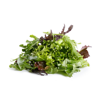 Pflücksalat