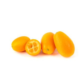 Kumquat
