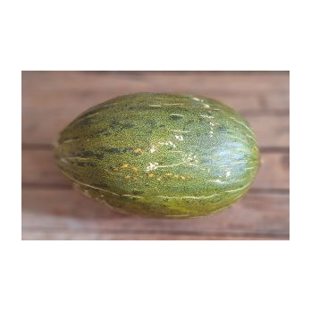 Honigmelone Piel de Sapo
