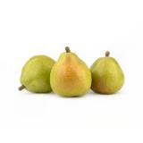 Birne Anjou