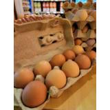 Bio-Eier Gr. M