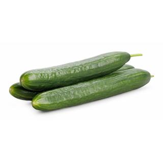 Salatgurken