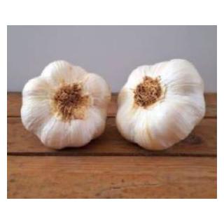Knoblauch