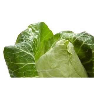 Spitzkohl