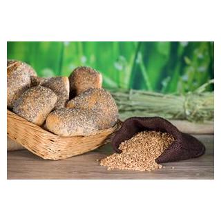 Bio Dinkelvitalbrötchen