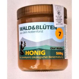 Wald und Blüte Kottenforst