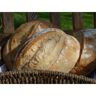 Französisches Landbrot