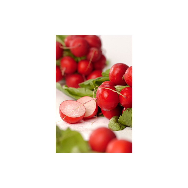 Apfel-Krautsalat