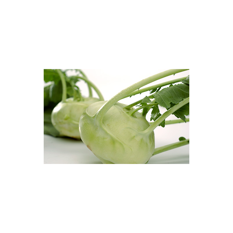 Würziges Kohlrabi-Curry mit Paprika