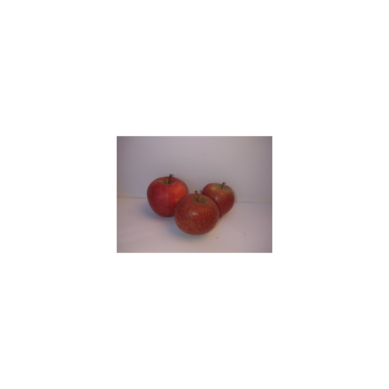 Kürbis-Apfel-Konfitüre